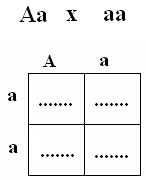 test biology