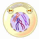 test biology